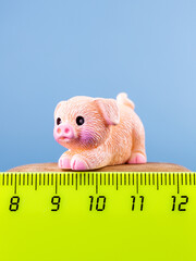 Close-up of a small, cute figurine in the shape of a adorable piglet with a tail, placed on a...