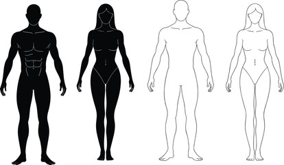 Human body silhouette and outline templates, male and female anatomical figure references, standing full-body poses for medical, fitness, and artistic illustration design