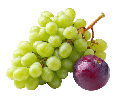 A cluster of green grapes with one dark purple grape