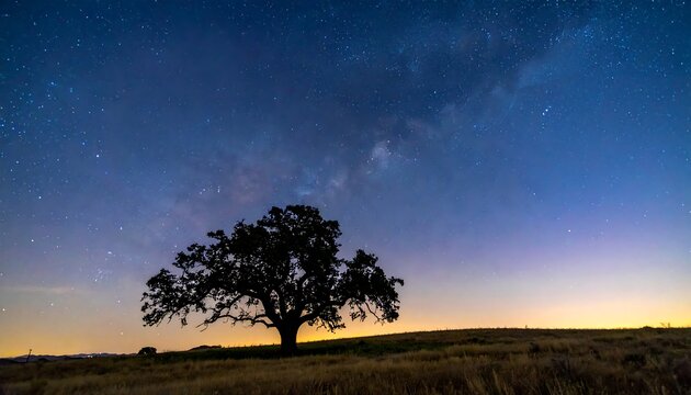 A solitary, silhouetted tree stands against a backdrop of a vibrant night sky, with a gradient horizon line