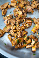 Chanterelle Mushrooms Cooked in Butter with Fresh Parsley