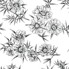 Manuka kanuka flower botanical pattern design