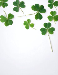 A flat lay showcases a collection of vibrant green three-leaf clovers scattered against a pristine white backdrop. The leaves have heart-shaped leaflets