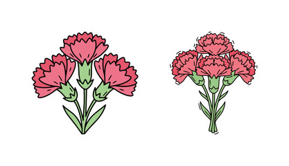 Two Bunches of Pink Carnation Flowers, Hand-Drawn Cartoon Vector Illustration in a Simple Doodle Style for Mother's Day, Bouquets, and Floral Concepts
