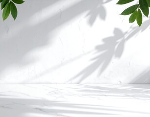 White wall and marble floor with leafy shadows