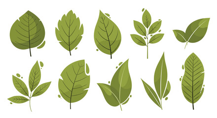 A vibrant collection of diverse green leaves, featuring various shapes, sizes, and natural textures, perfect for nature-themed designs and ecological concepts.