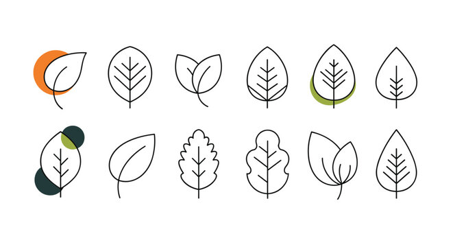 A collection of simple, minimalistic outline leaf icons with varying shapes and a touch of color, perfect for nature-themed design.