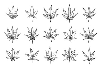 Set of hand drawn cannabis leaf Medicine marijuana Hemp leaves clipart in doodle style Single element for print, web, design, decor
