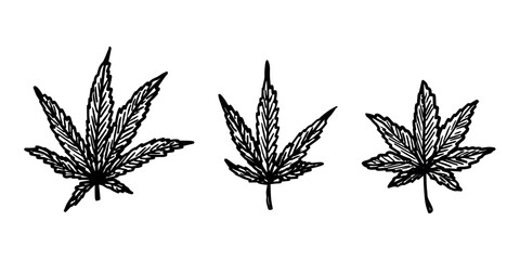 Set of hand drawn cannabis leaf Medicine marijuana Hemp leaves clipart in doodle style Single element for print, web, design, decor