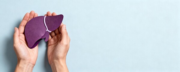 Hands holding a purple paper cutout of a human anatomical liver organ shape on a light blue background banner