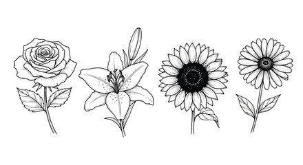 Collection of hand drawn flowers, rose, lily, sunflower