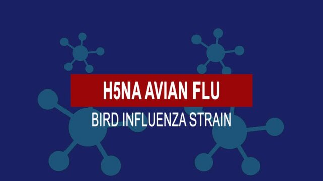 H5NA avian flu bird influenza strain. Medical News Alert Headline Virus Animation Background. Health Concept.