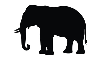 Fototapeta premium A realistic elephant silhouette illustration