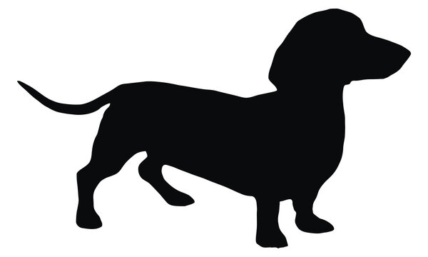 Black dachshund dog silhouette standing profile