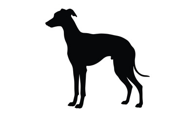 Obraz premium Elegant greyhound dog silhouette with adobe illustrator icon