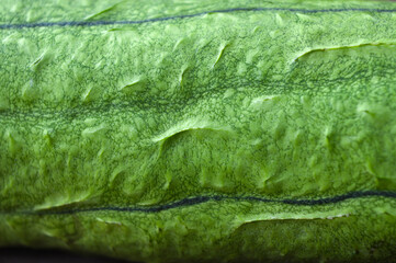 close-up of the distinctive ribbed, waxy, and deeply textured surface of a Loofah or Angled Luffa (Gambas/Oyong) vegetable skin. Concepts of Asian food, texture, freshness, and organic produce.