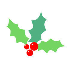 Christmas holly with red berries. Holly leaves.