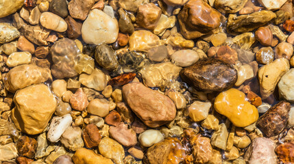 shallow. Smooth water-worn pebbles on a shallow stream bed with clear water flowing over them. travel magazines, destination branding, designed for travel destination branding.