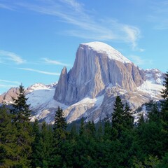 Career Mountain Peak Leaves