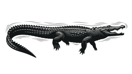 Fototapeta premium Black and grey alligator swimming with open mouth and visible teeth water ripples around its body