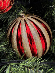 close up of red and gold striped Christmas ball on green Christmas tree
