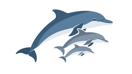 Three blue and white dolphins varying sizes swim on a white background