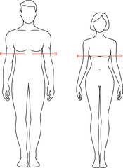 Man and woman outline, vector illustration, chest and bust measurement, body size chart, clothing guide, fashion, tailoring, body dimensions.
