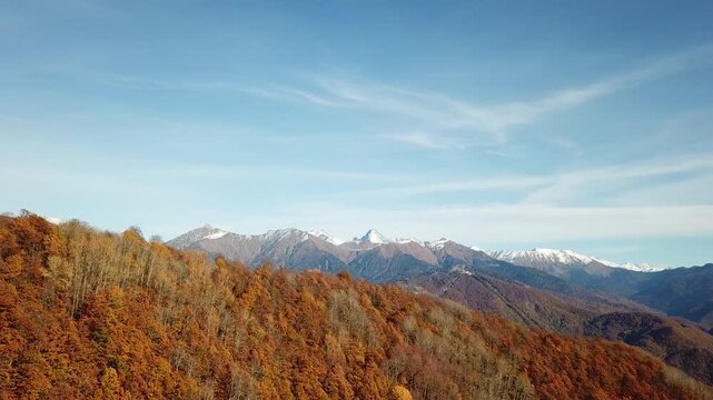 Aerial view of forest of the Caucasus mountains in autumn in Krasnaya Polyana, Russia.