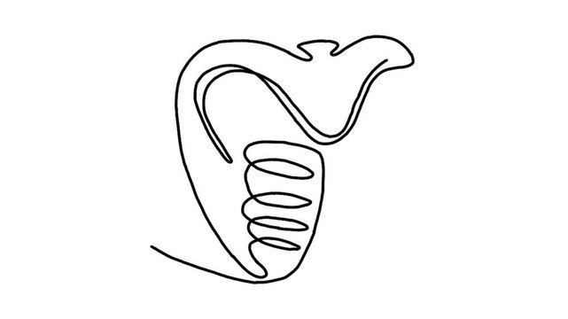 Continue line animation of cobra