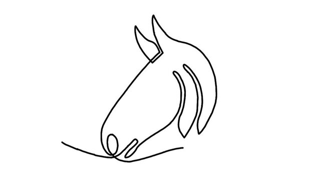Continue line animation of horse