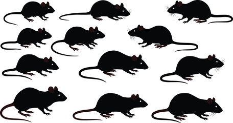 Collection of black rat silhouettes in various standing and walking poses, detailed rodent vector illustration for design projects, wildlife artwork, pest control concepts