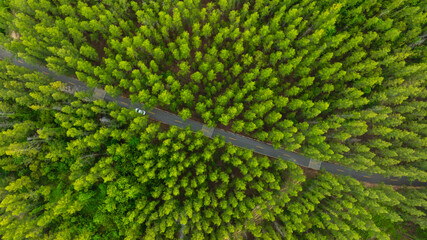 Obraz premium Aerial view of dark green forest road and white electric car Natural landscape and elevated roads Adventure travel and transportation and environmental protection concept 