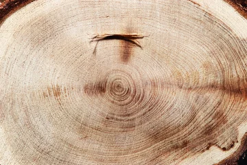 Fototapete Rund Brennholz Wood pattern, detailed view of wooden surface with natural tree rings of juniper, grain and line patterns, organic textures in earthy tones. Perfect for nature, woodworking, or organic design  © yrabota