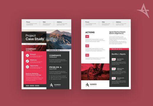 Project Case Study Flyer