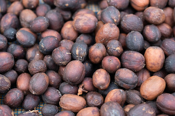 Close-up Green Coffee Beans Drying Texture