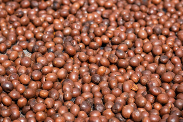 Close-up Green Coffee Beans Drying Texture