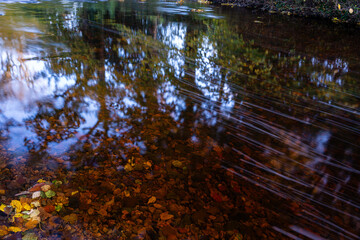 Long-exposure reflection on slow-moving river water