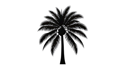 Black Palm Tree Silhouette Tropical Nature Illustration Isolated on a White Background