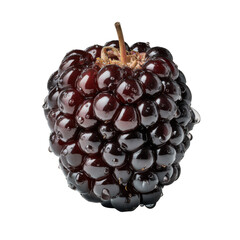 Single dark purple mulberry fruit with water droplets on black background image, Cut Out, Isolated On White Background, Png Transparent