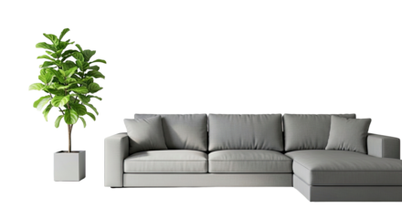 Modern Living Room Interior With Comfortable Gray Sectional Sofa and Fiddle Leaf Fig Tree