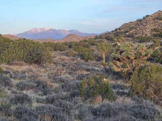 Morning light on San Gorgonio mountain capped with snow as seen from the Mojave desert at Joshua Tree National Park, California