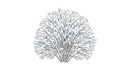 Snow Covered Shrub Line Art White Background Digital Clip Art Seasonal Winter Illustration