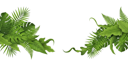 Tropical Leaves and Ferns Arrangement Isolated on Transparent Background Vector Illustration