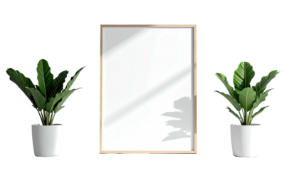 Framed art between potted plants against a stark black backdrop