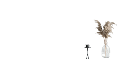 Vase with plumes and hookah on black backdrop, minimalistic setup