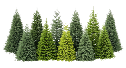 Variety of High Quality Artificial Christmas Trees Seasonal Holiday Decor Against White Background