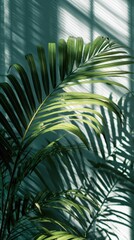 Lush Green Palm Leaves Bathed in Sunlight, Casting Dramatic Geometric Shadows.