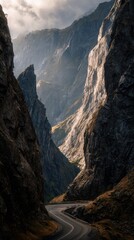 Majestic Canyon Road Bathed in Dramatic Sunlight and Deep Shadows.