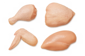 Raw chicken pieces including drumstick, wing, thigh, and breast, fresh poultry meat for cooking on transparent