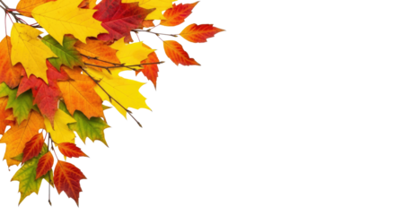 Autumn Fall Leaves Border Arrangement with Vibrant Colors and Central Copy Space for Design
